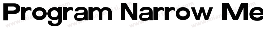Program Narrow Medium字体转换